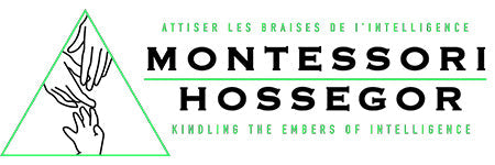 Guide adolescent (12-18 ans) - guide élémentaire AMI - Visite Guidée - Hossegor (40)