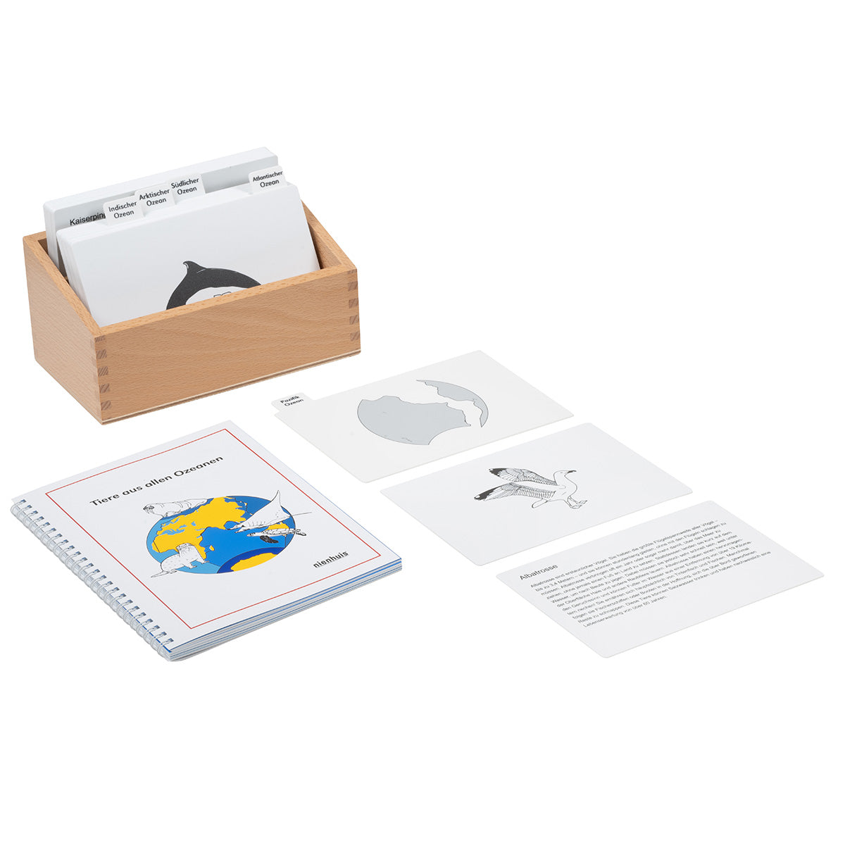 Tiere aus allen Ozeanen