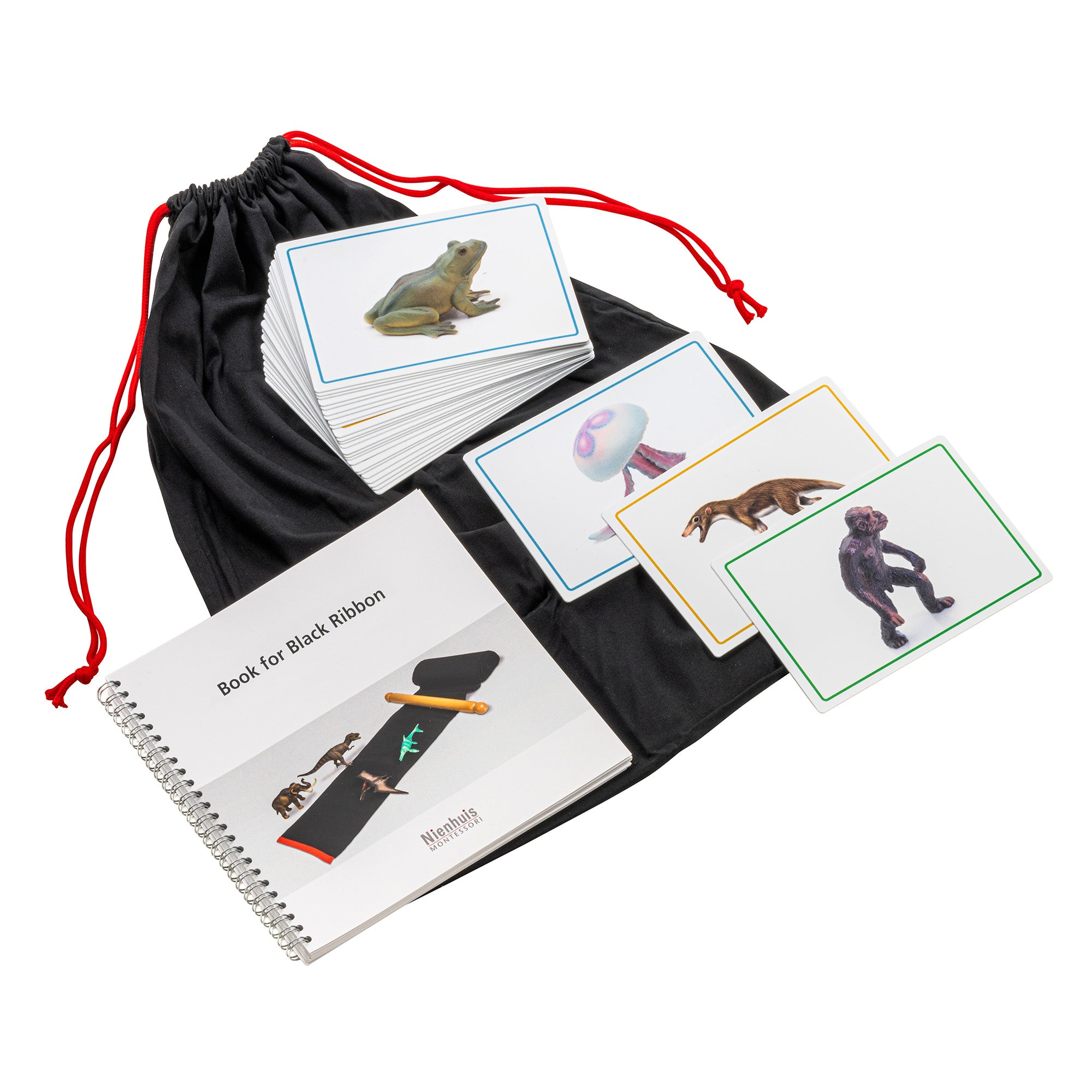 Cartes et livret pour le Ruban Noir