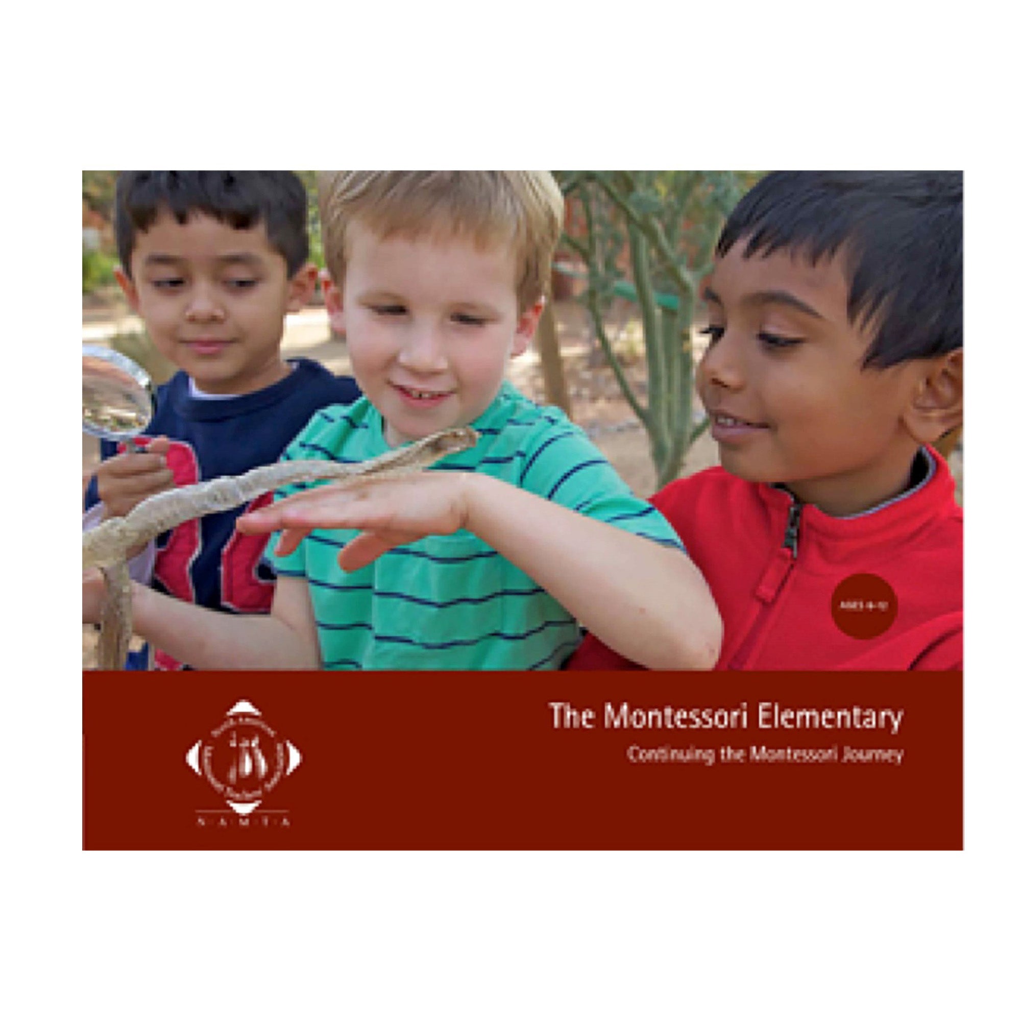 The Montessori Elementary: Continuing The Montessori Journey (anglais)