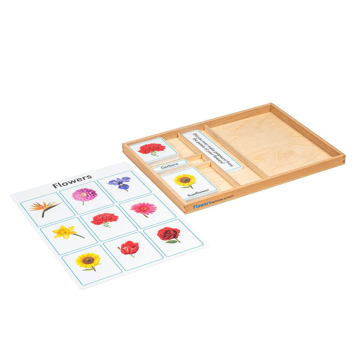 Jeu d'association : Fleurs (anglais)