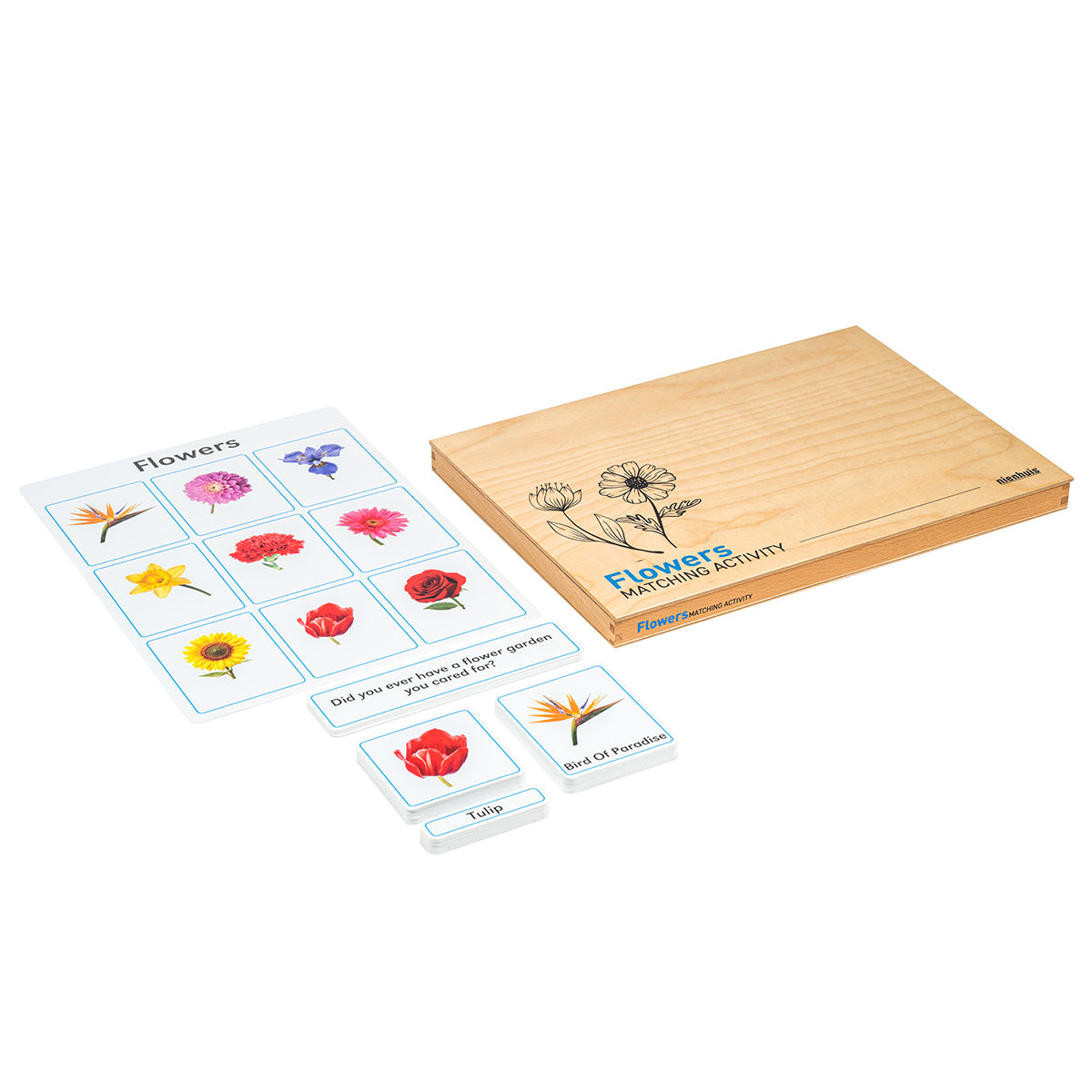 Jeu d'association : Fleurs (anglais)