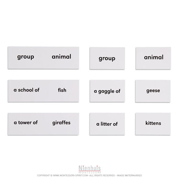 Image of Animals-and-their-groups