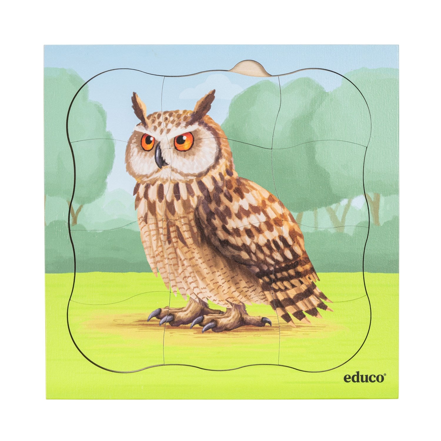 Puzzles évolutifs dans la forêt - coffret 5 puzzles