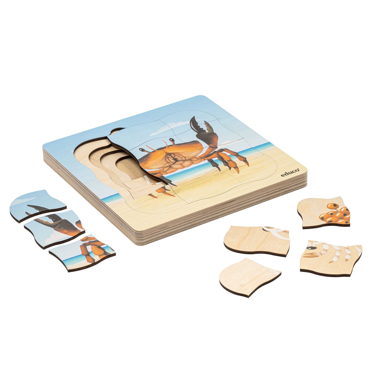 Puzzle évolutif à la plage - le crabe