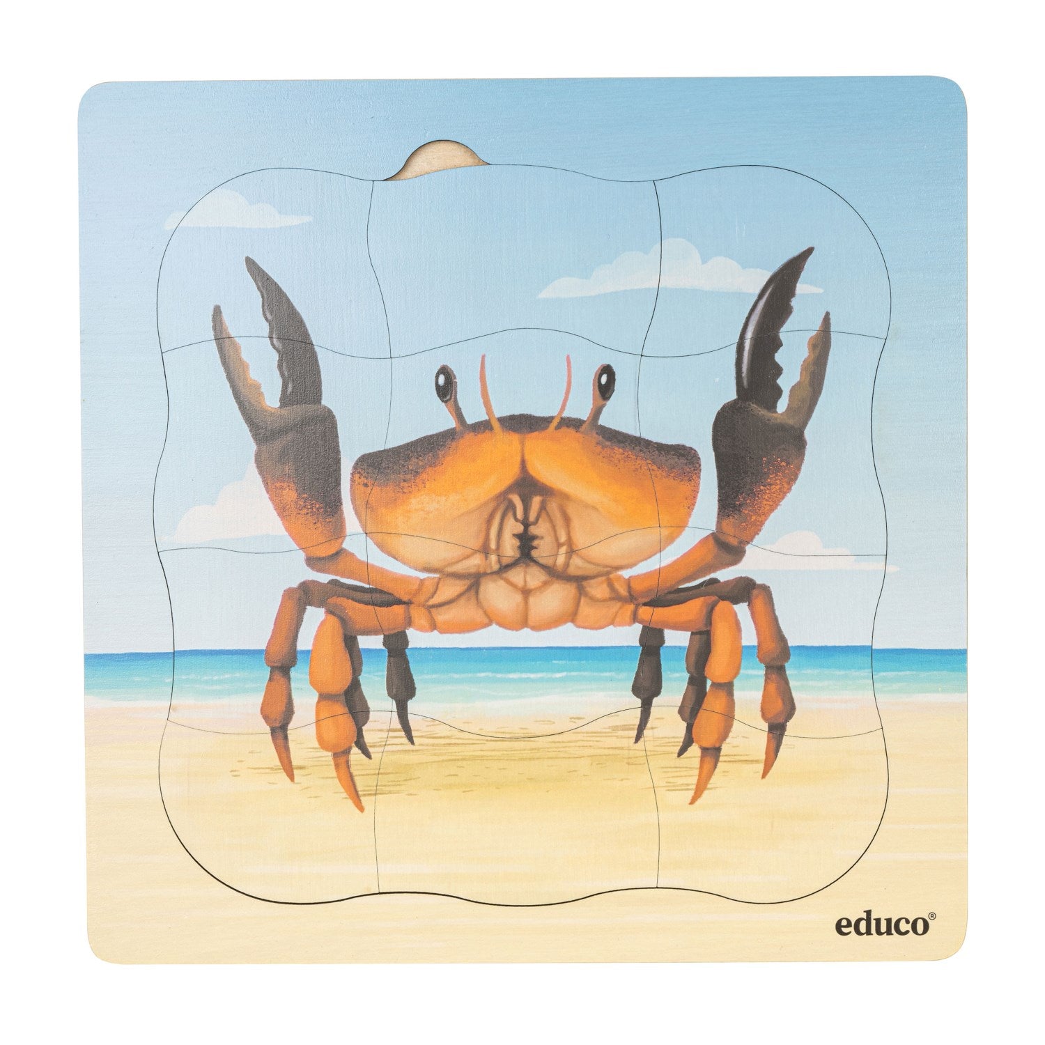 Puzzle évolutif à la plage - le crabe