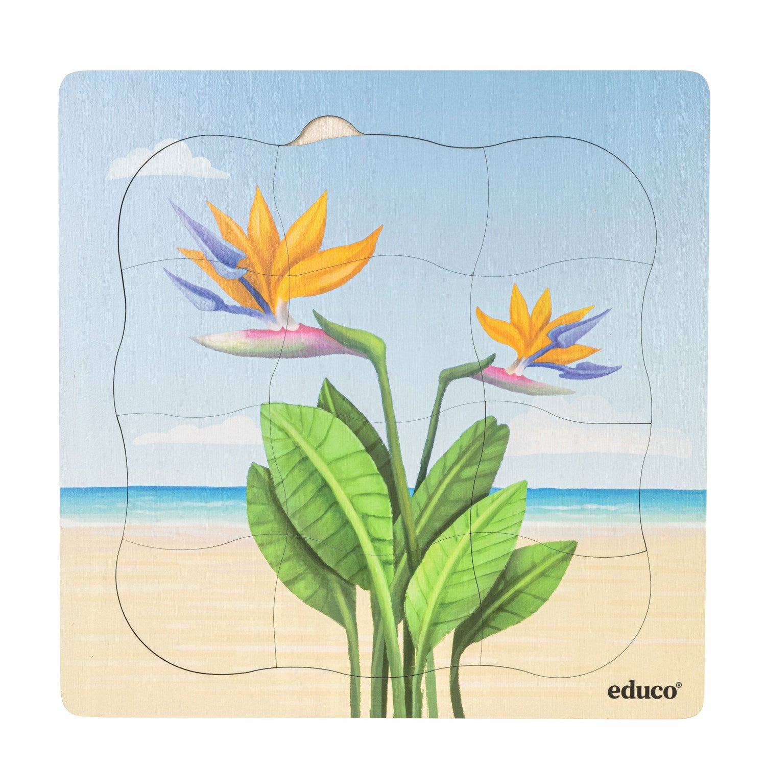 Puzzle évolutif à la plage - oiseau de paradis