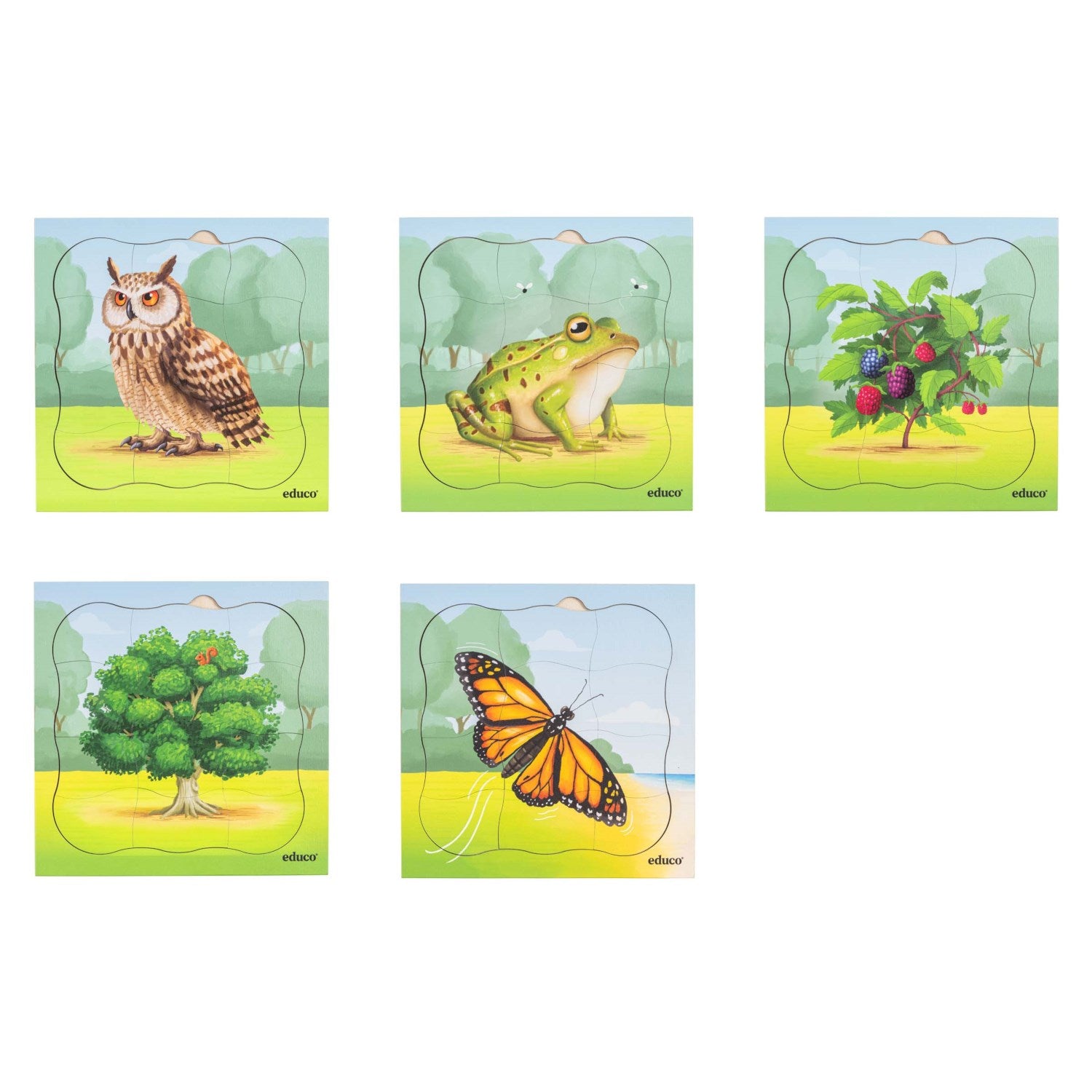 Puzzles évolutifs dans la forêt - coffret 5 puzzles