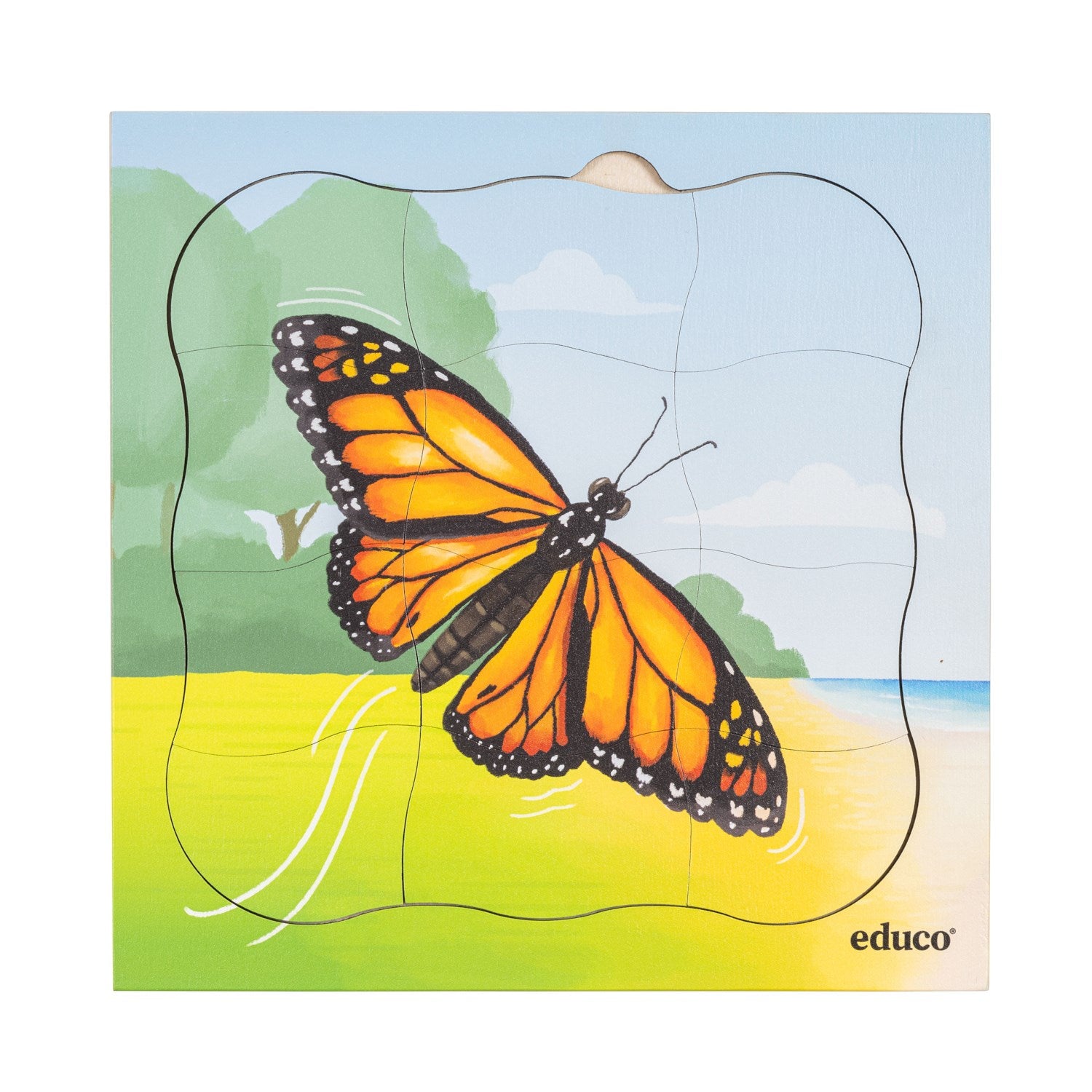 Puzzle évolutif dans la forêt - le papillon