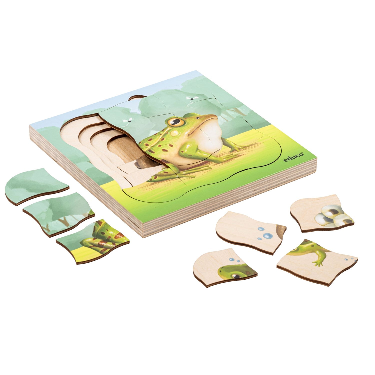 Puzzle évolutif dans la forêt - la grenouille