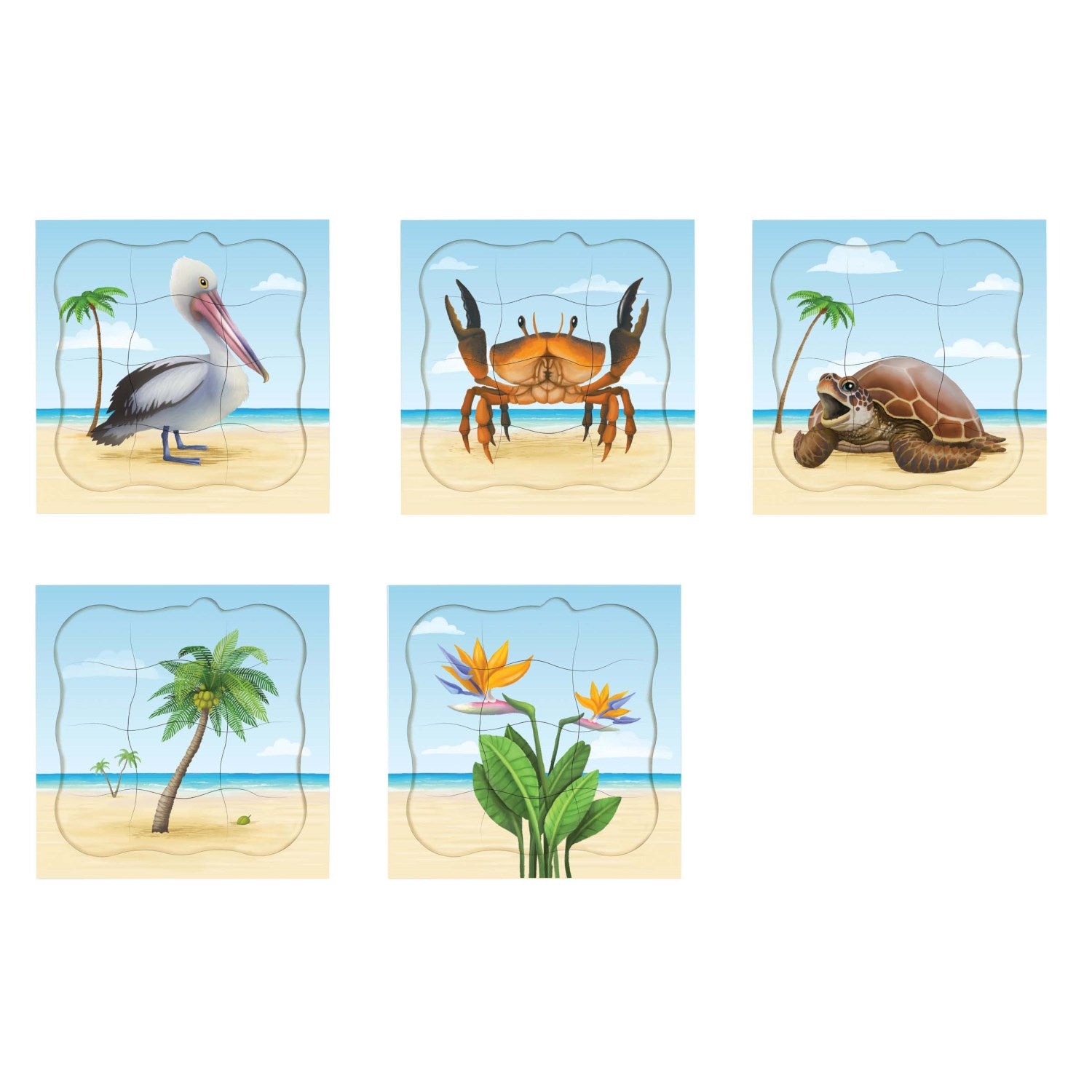 Puzzles évolutifs à la plage - coffret 5 puzzles