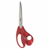 Scissors - Expert - Right-handed 25 cm