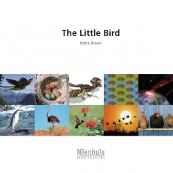 The little bird