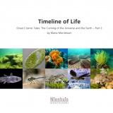Timeline of life