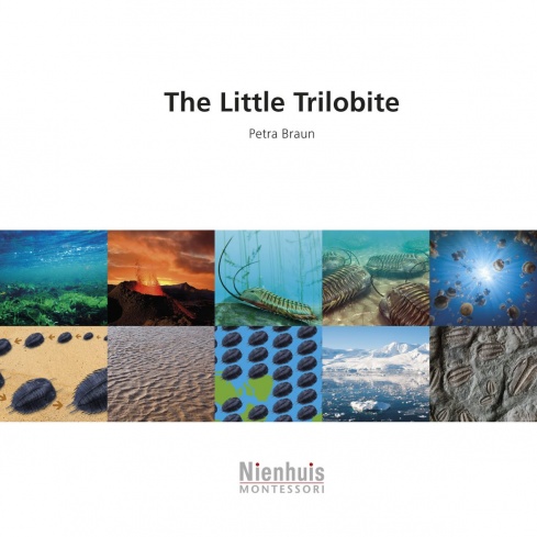 The Little Trilobite