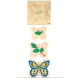 Growth puzzle - butterfly