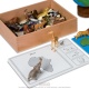 The Animal Continent Box