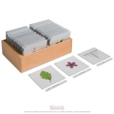Third Set Of Botany Cards Box