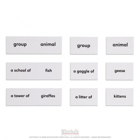 Animals And Their Groups