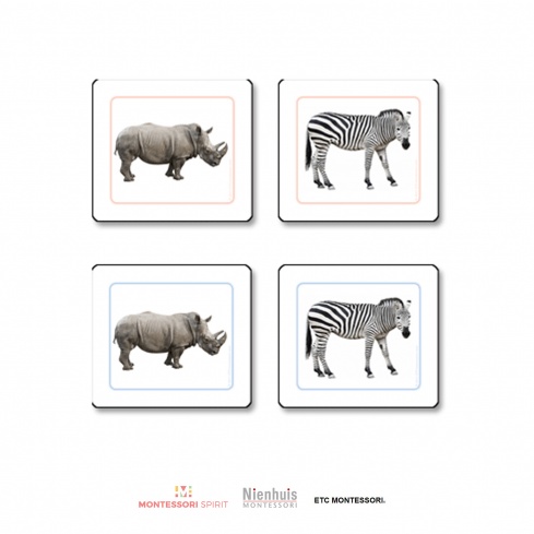 African Animals Matching Cards