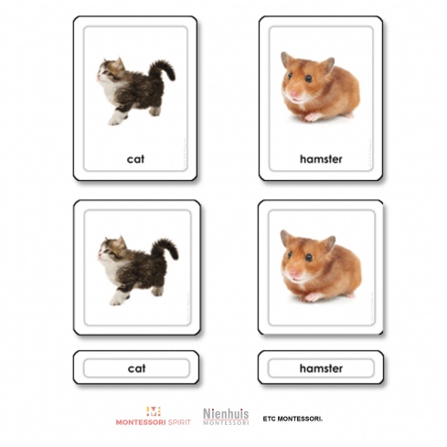 Pets 3 Part Cards