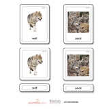 Animal Groups 3 Part Cards