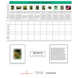 Plant Kingdom Charts