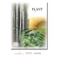 Plant Stories