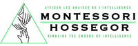 Educateurs bilingues anglais-français AMI 6-12 et 12-18 ans - Hossegor (40)