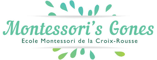 Educateur/trice AMI 6-12 ans ou Assistant /e AMI 6-12 ans - Lyon (69004)