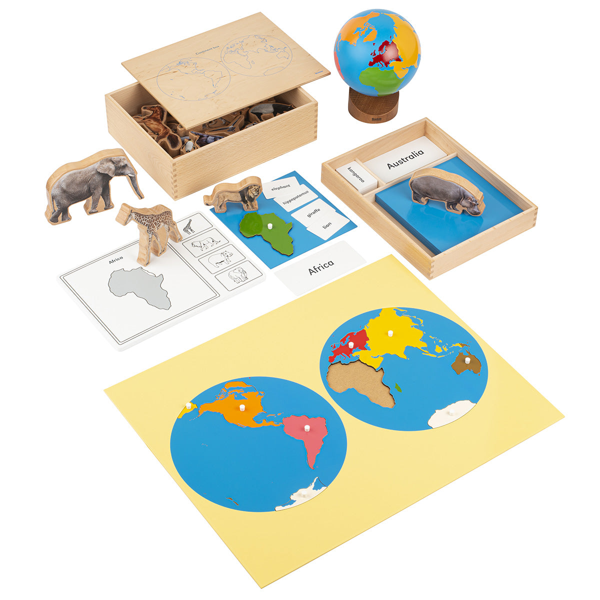 Boite des animaux terrestres par continent (anglais)