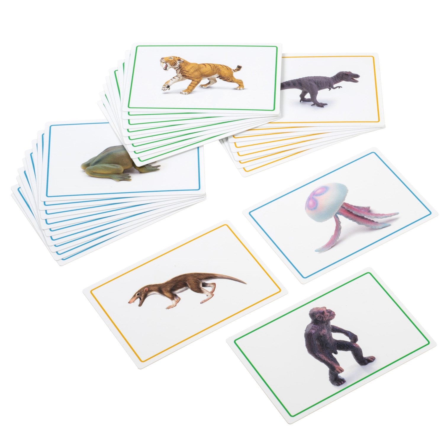 Cards And Book For The Black Ribbon (German version)