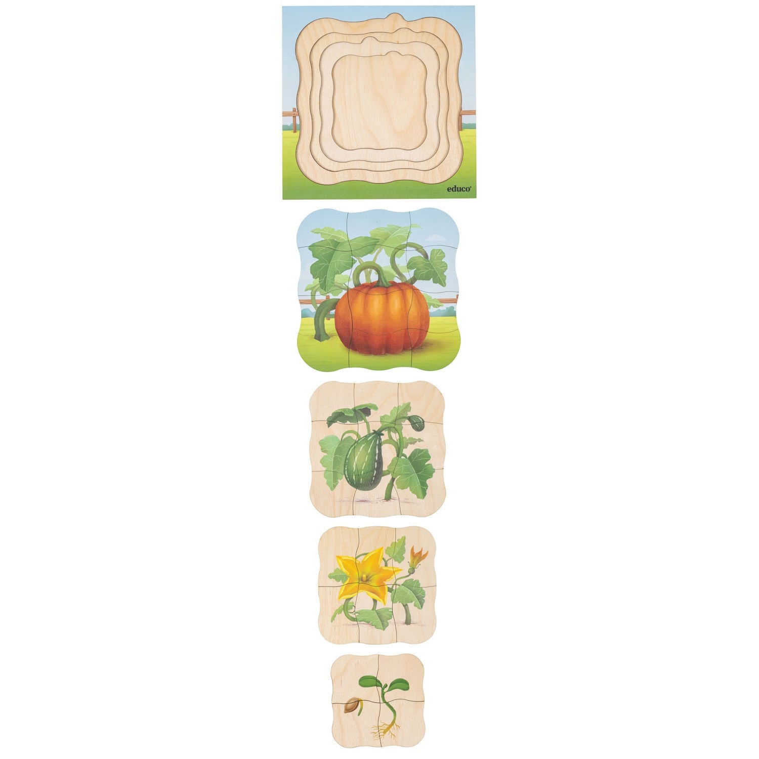 Puzzle évolutif à la ferme - la citrouille