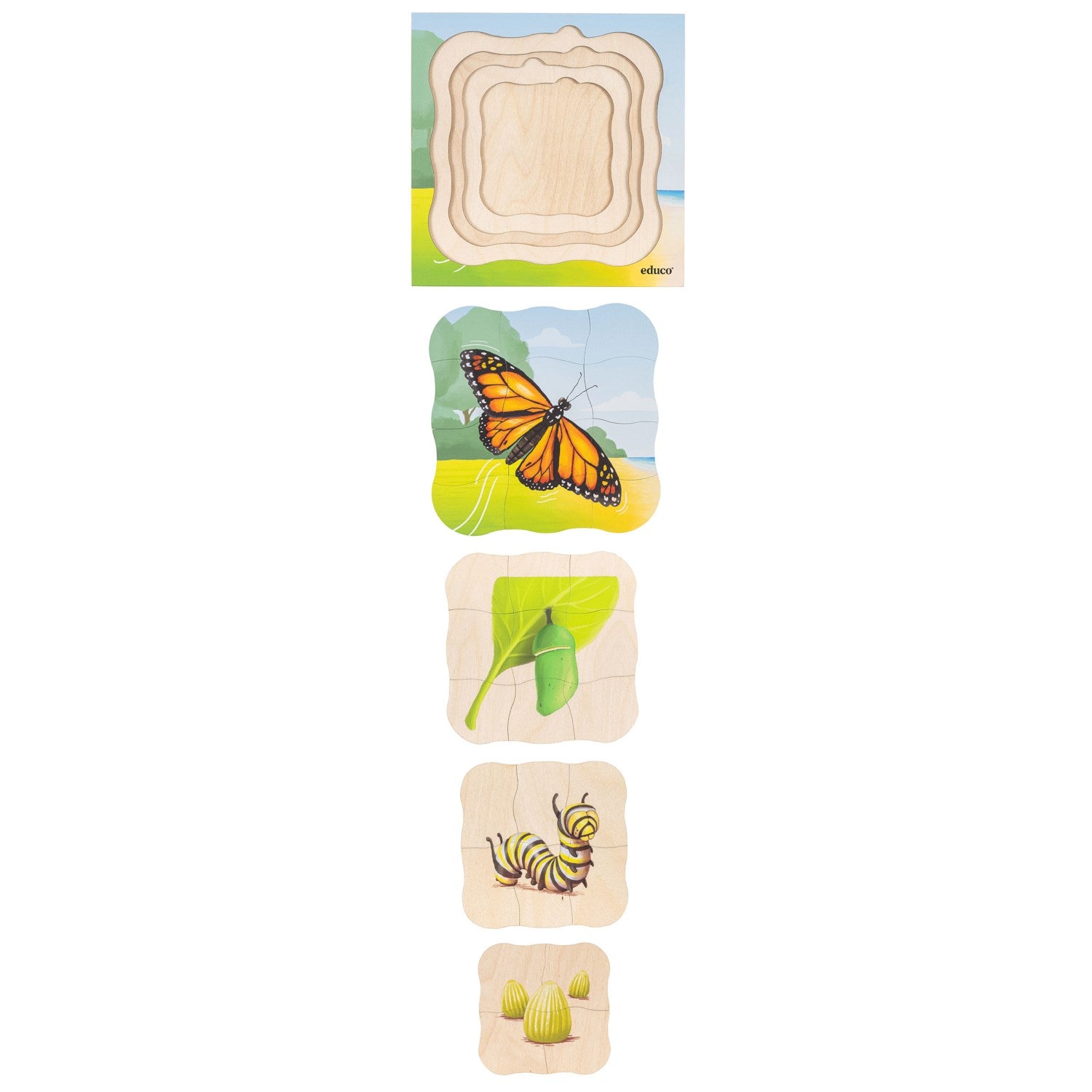Puzzle évolutif dans la forêt - le papillon