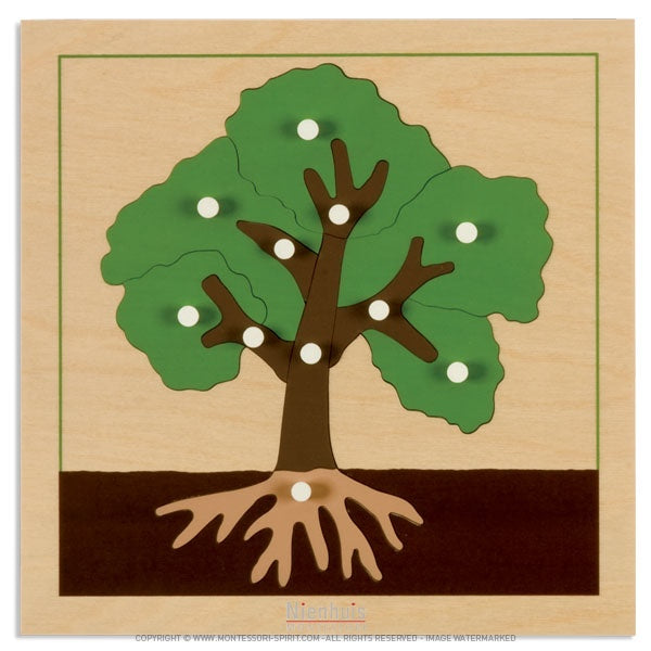 Image of Puzzle-de-botanique-arbre