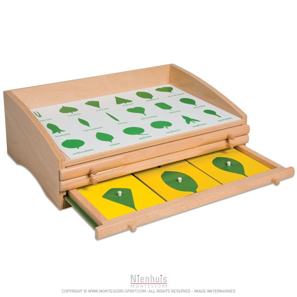 Bild von Botanisches Kabinett
