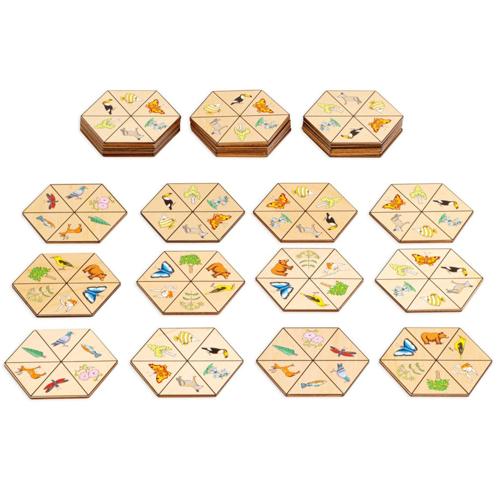 Hexagon - Thema Natur