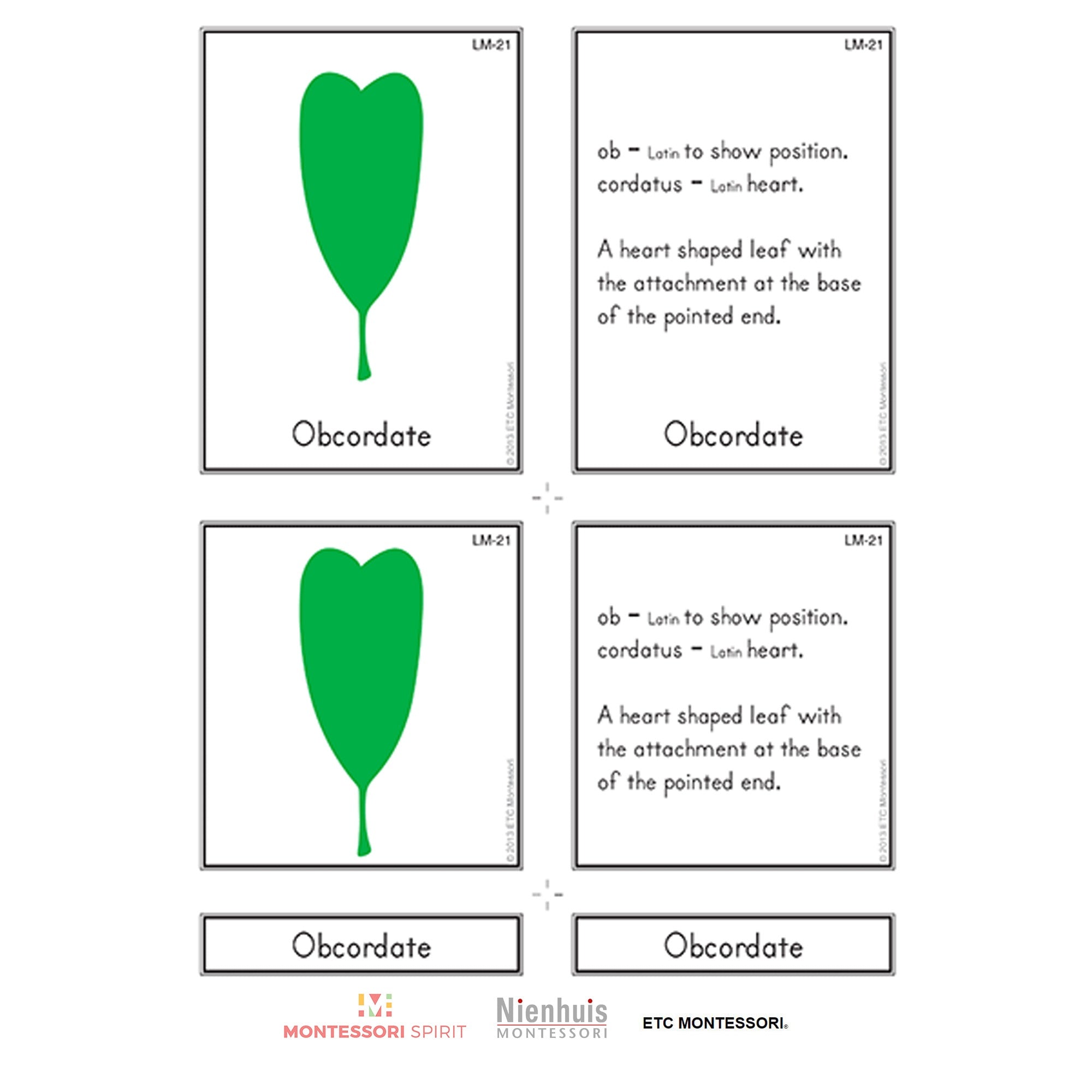 Leaf Morphology Nomenklatur