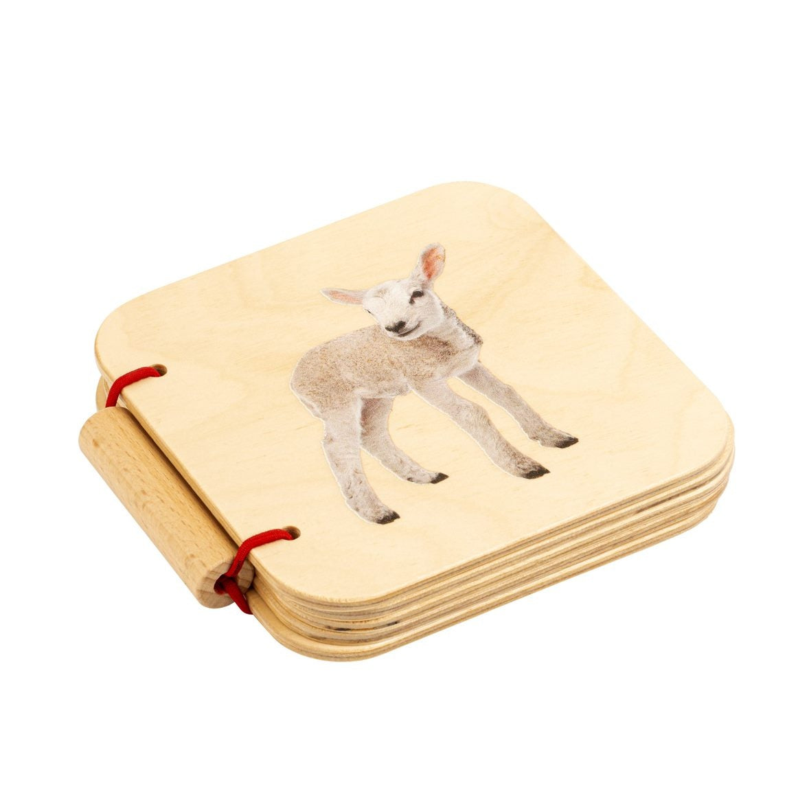 Mein erstes Buch: Tiere