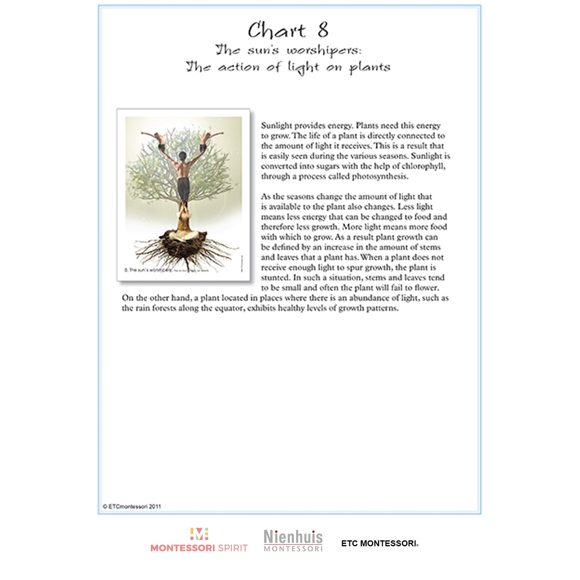 Pflanzenphysiologie