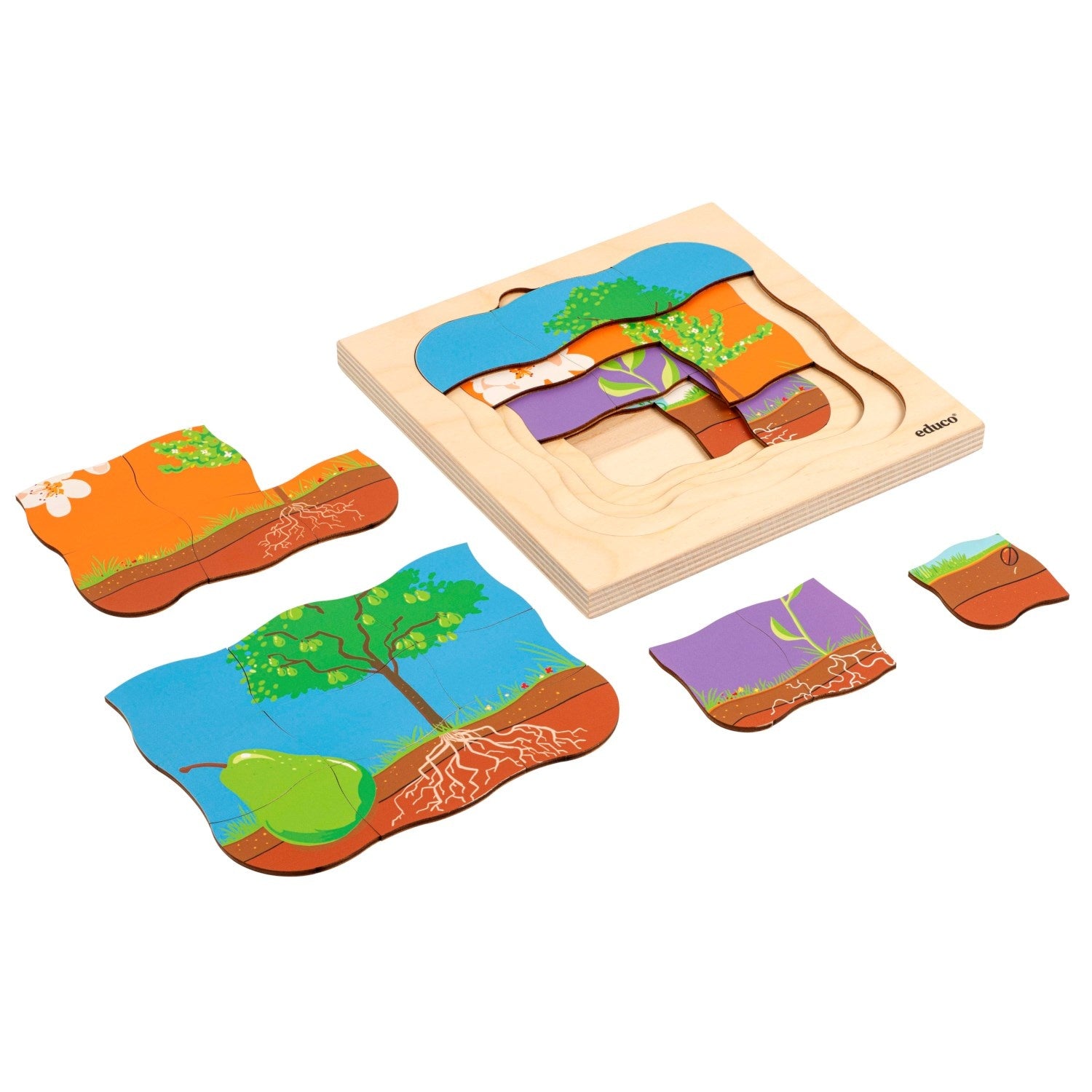 Entwickelbares Puzzle - Birne