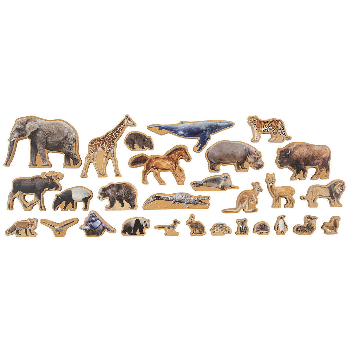 Boite des animaux terrestres par continent (anglais)