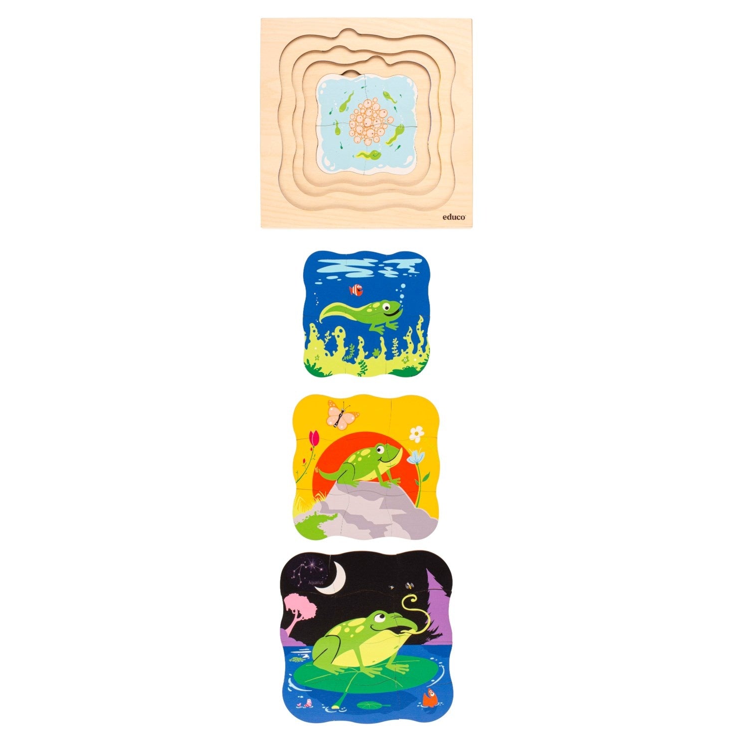 Evolutionary puzzle - Frog