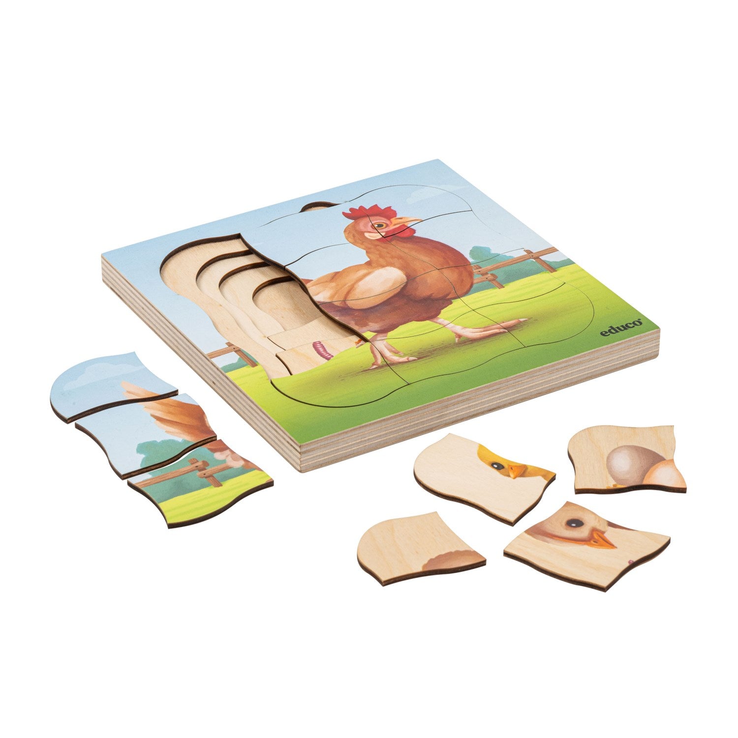 Puzzle évolutif à la ferme - la poule