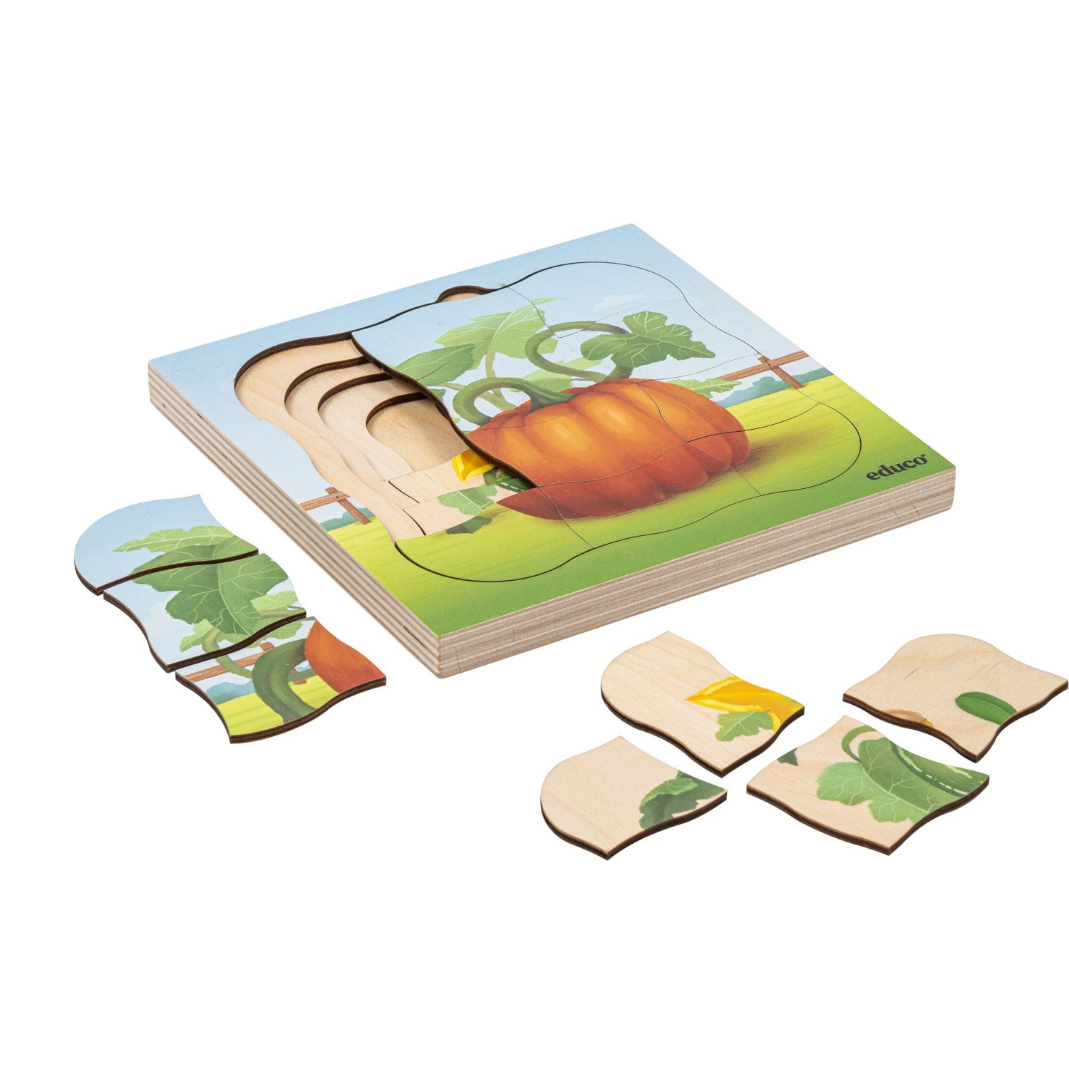Puzzle évolutif à la ferme - la citrouille