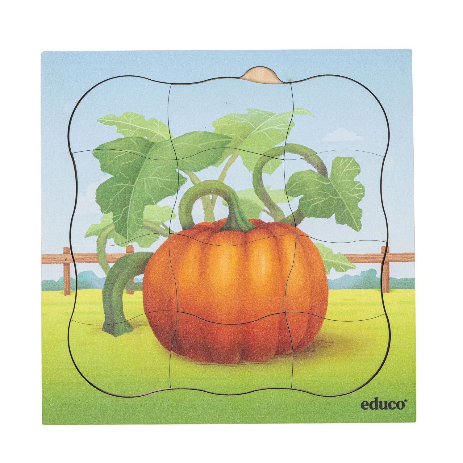 Puzzle évolutif à la ferme - la citrouille