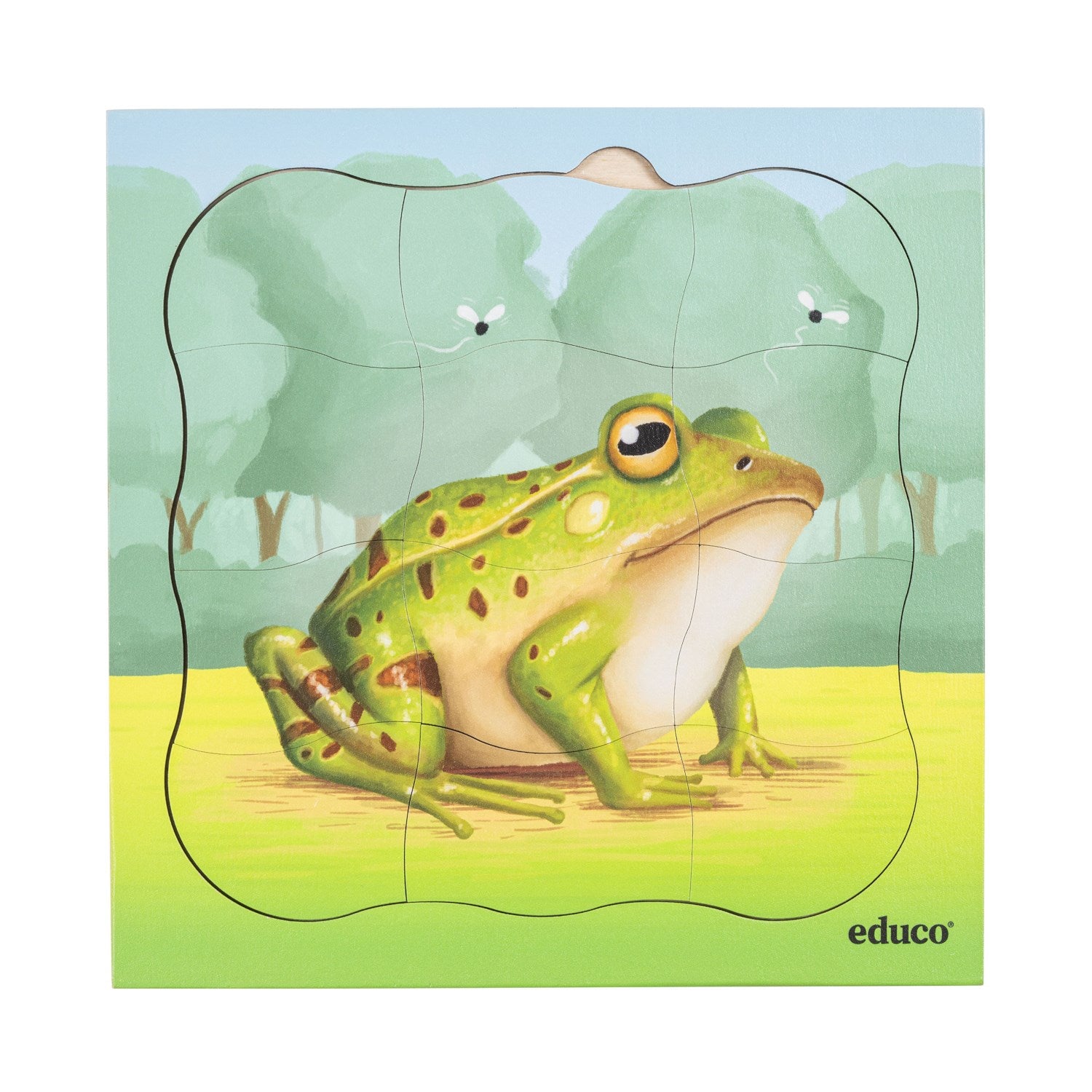 Puzzles évolutifs dans la forêt - coffret 5 puzzles