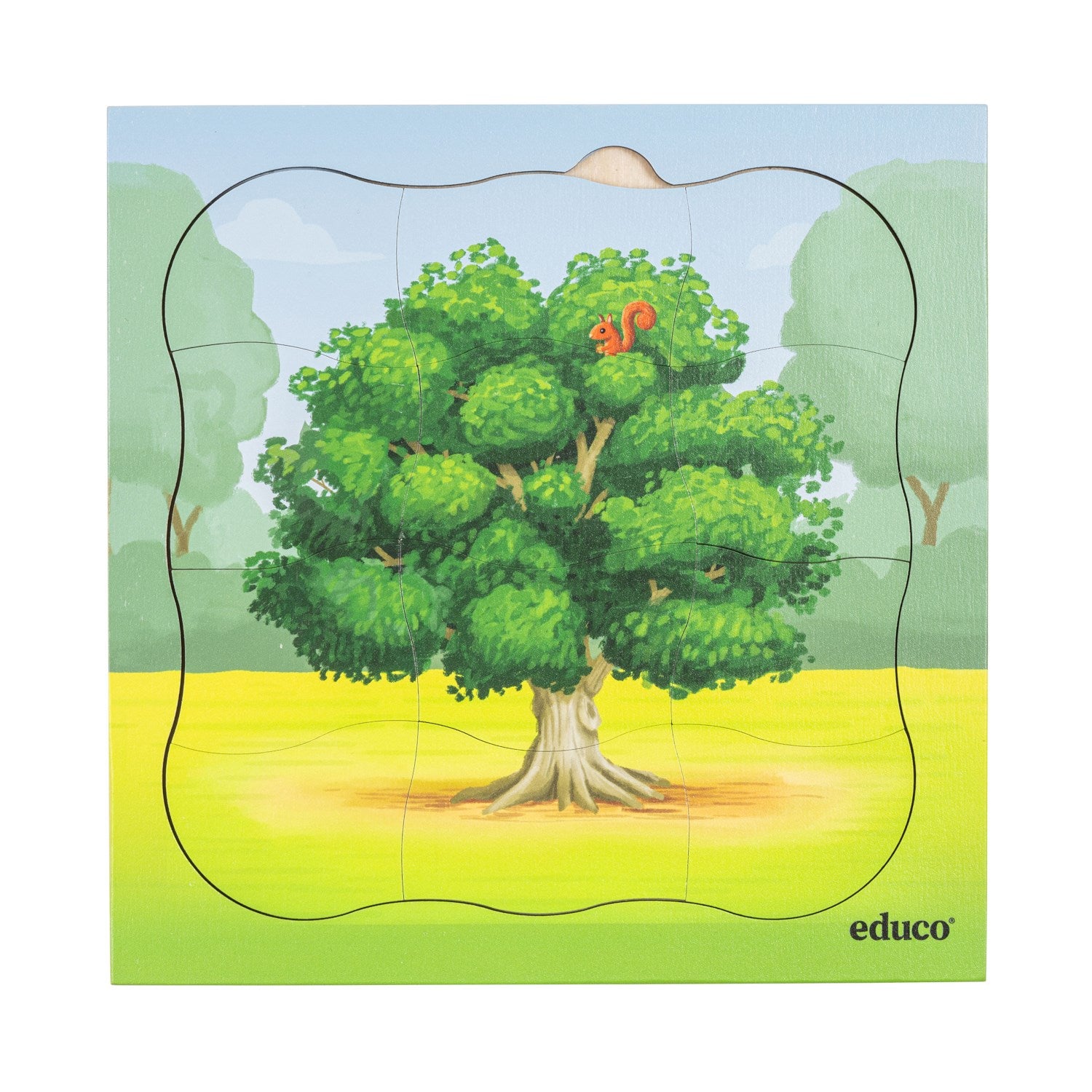 Puzzles évolutifs dans la forêt - coffret 5 puzzles