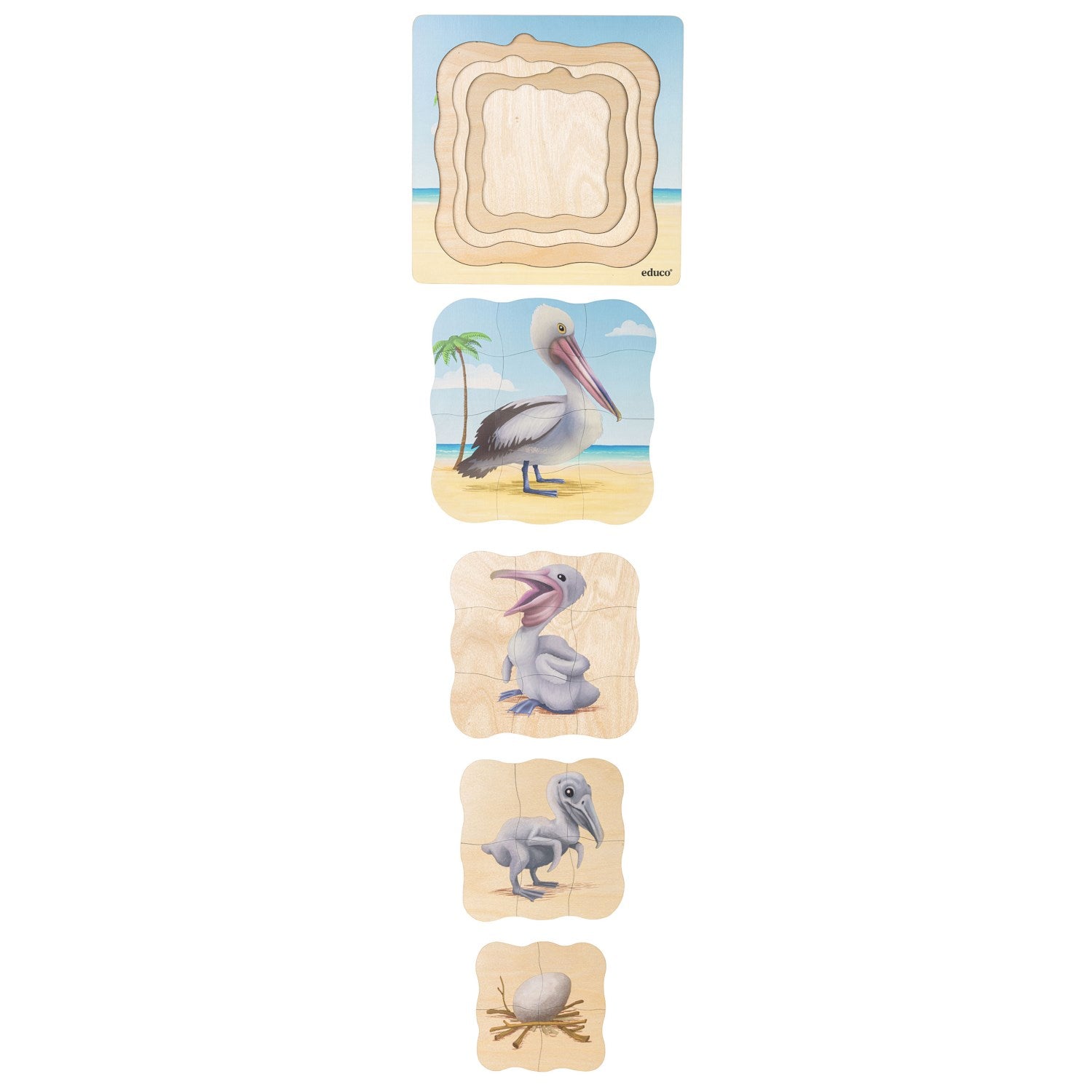 Puzzle évolutif à la plage - le pélican