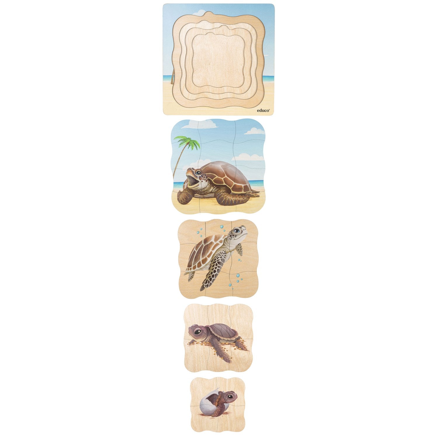 Puzzle évolutif à la plage - la tortue